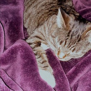 Meet your Posher, Hope